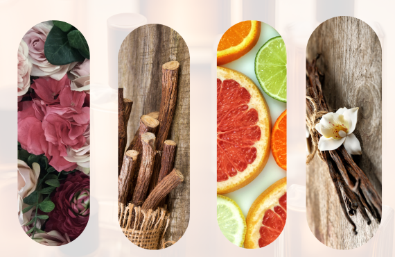 What Are Fragrance Families In Perfumery?