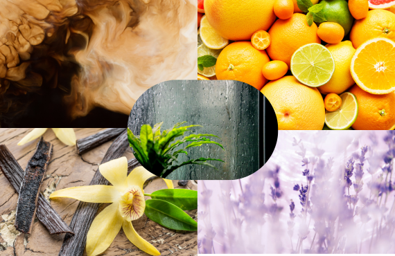 What Is The Most Pleasing Smell?