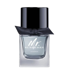 Mr Burberry Indigo Eau de Toilette Fresh Men