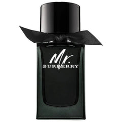 Mr Burberry Eau de Parfum for Men