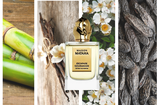 What Are The Notes Of Maison Mataha?