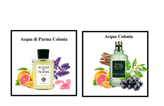 Acqua Di Parma Colonia vs. Acqua Colonia: What's the difference?