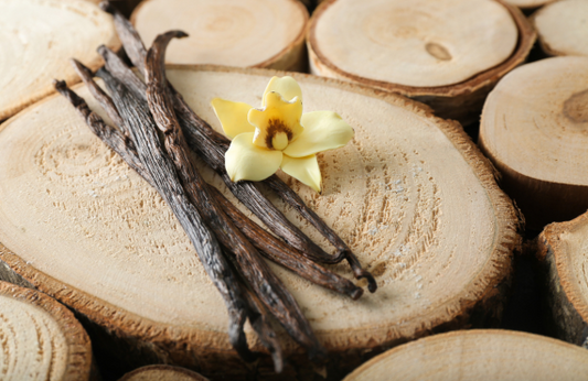 Is Vanilla a Seductive Scent?