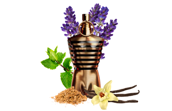 Jean Paul Gaultier Le Male Elixir
