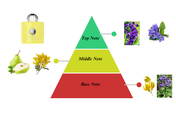 What’s the difference between top notes, heart notes, and base notes in ...