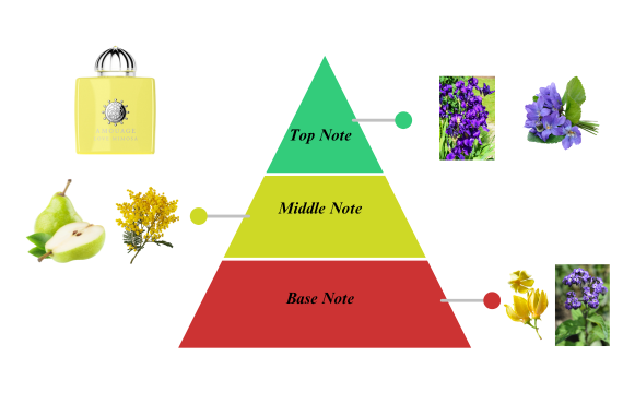 What’s the difference between top notes, heart notes, and base notes in fragrances?