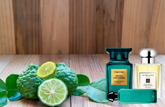 Best Citrus Perfumes with Bergamot