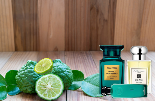 Best Citrus Perfumes with Bergamot