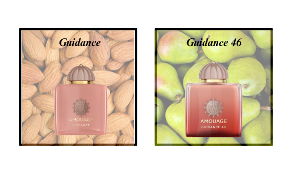 What’s the Difference Between Guidance and Guidance 46?