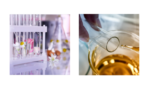 What’s the difference between natural perfumes and synthetic perfumes?