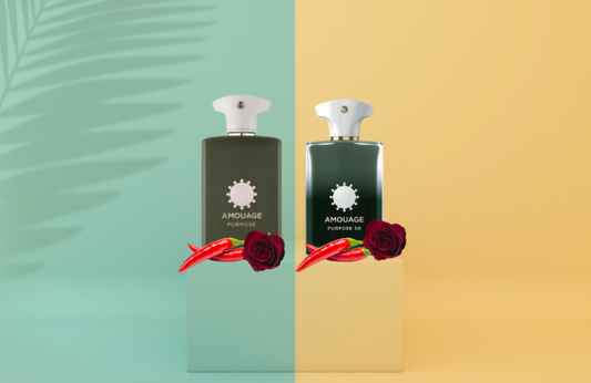 Amouage Purpose vs Amouage Purpose 50