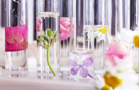 Why Is Perfume So Expensive?