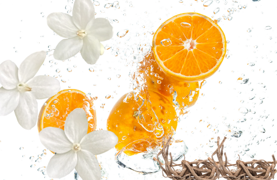 Orange Perfume Blends with Woods and Florals: A Complete Guide to Modern Citrus Scents