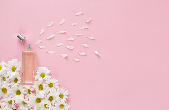 What Is the Difference Between Sillage and Longevity in Perfumes