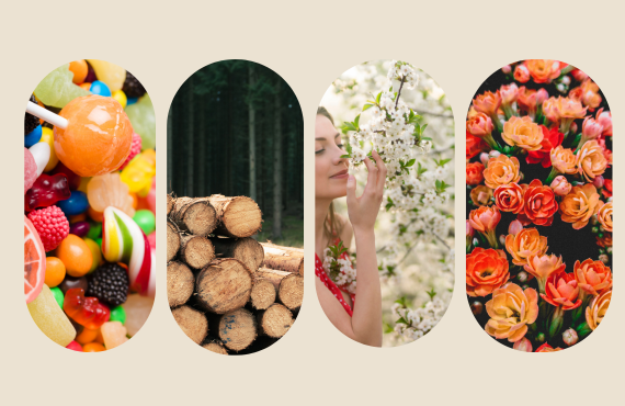 What's the most attractive fragrance?