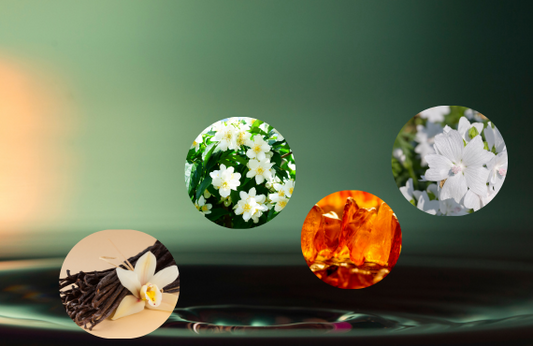 What Is the Most Attractive Scent in the World?