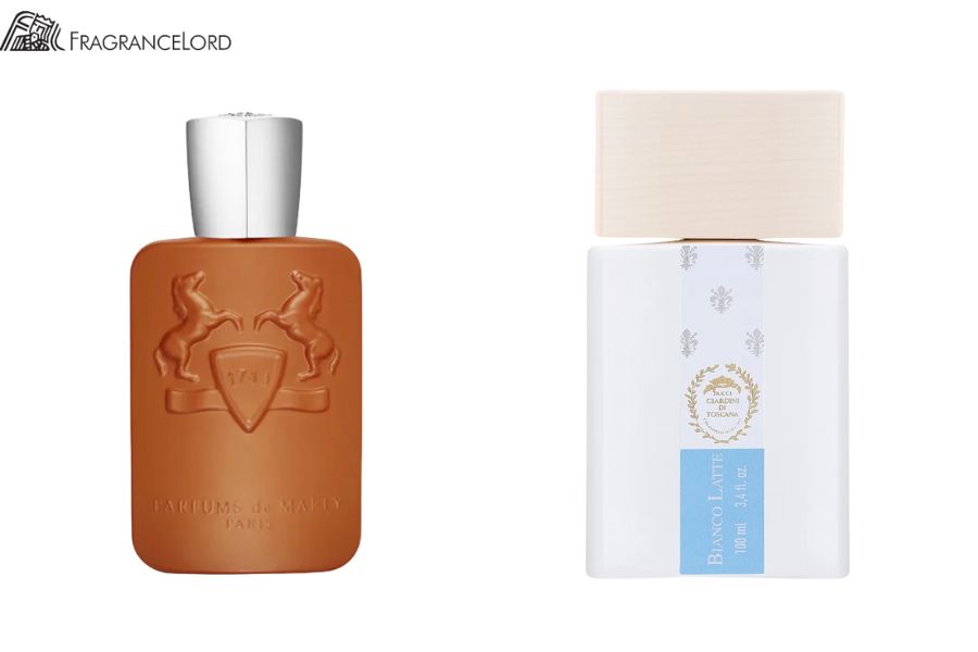 What is the best spicy fragrance?