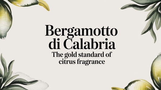 Bergamotto di Calabria The Gold Standard of Citrus Fragrance