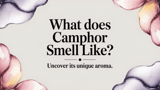 What Does Camphor Smell Like? Uncover Its Unique Aroma in 2026.