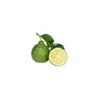 Calabrian Bergamot