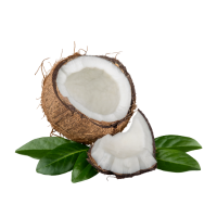 Coconut Milk