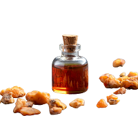 Shop Styrax Perfume – Fragrancelord.com