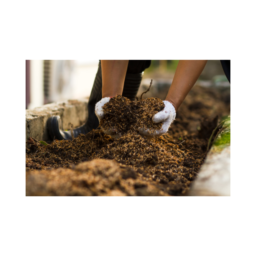 ZZEMPTY Compost accord – Fragrancelord.com