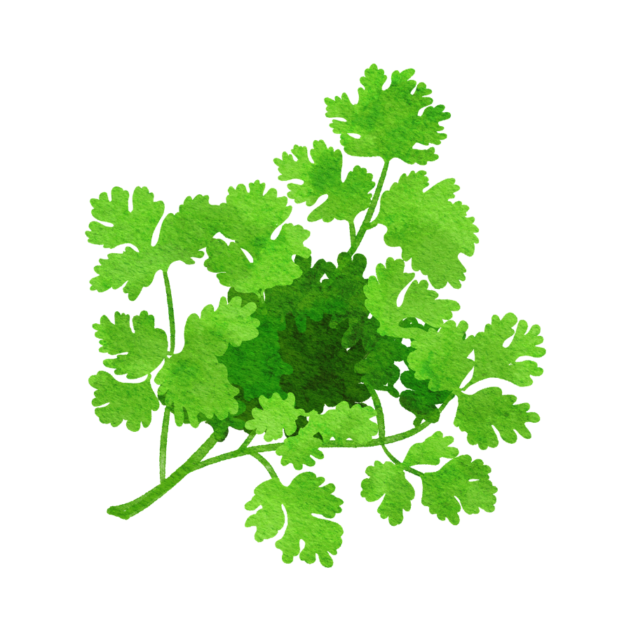 Parsley