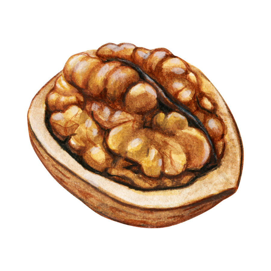 Walnut