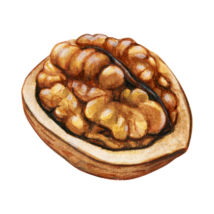 Walnut