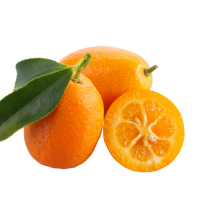 Kumquat