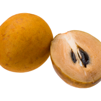 Sapodilla