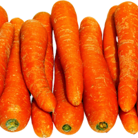 Carrot