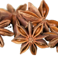 Star Anise